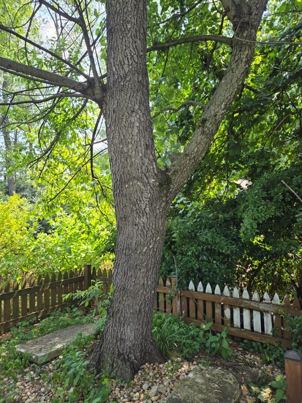 Benjamin Fairfax Family Cemetery in Fairfax, Virginia