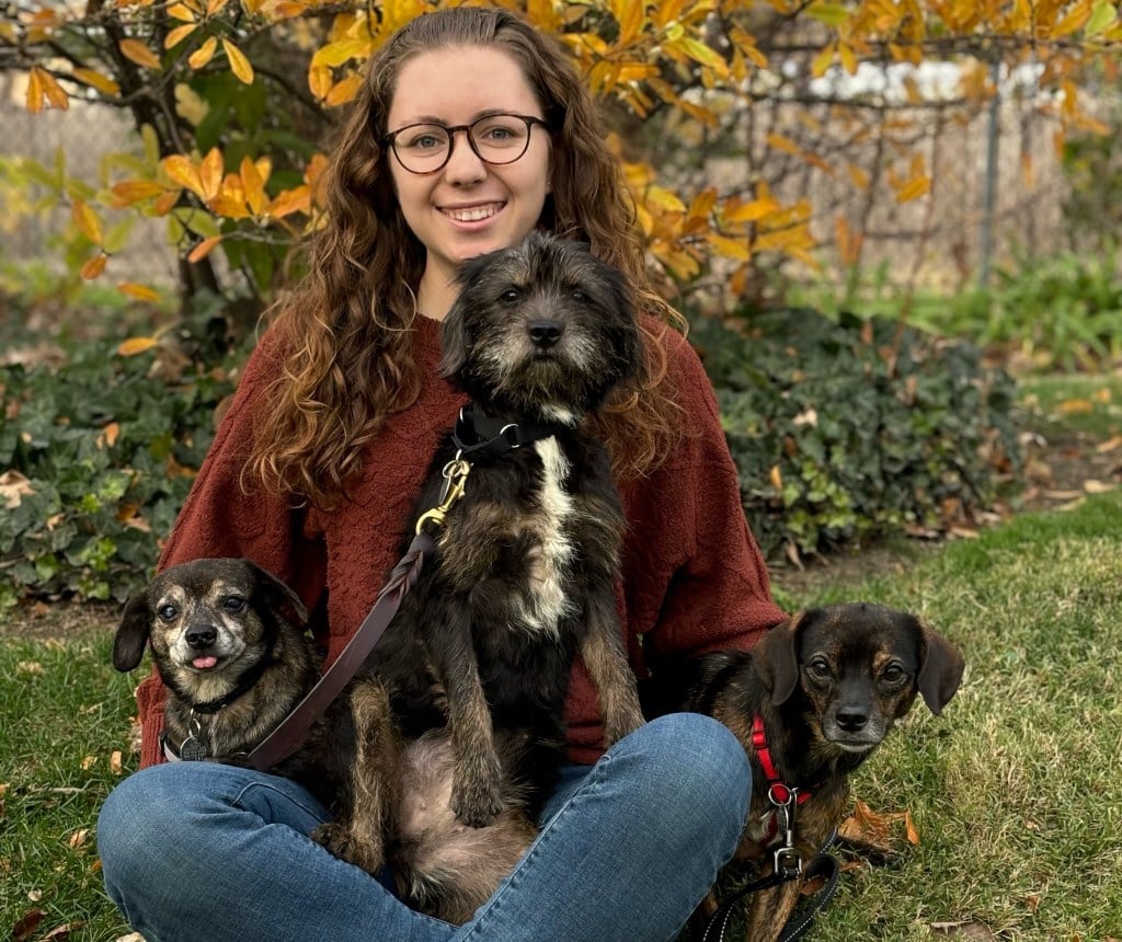 South Suburban Humane Society steps up after 146 dogs rescued