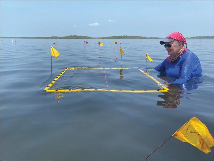 Early Maya Saltworks Discovered in Belize