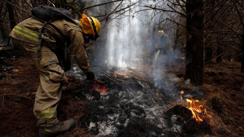 Declaran emergencia nacional en Ecuador por incendios forestales