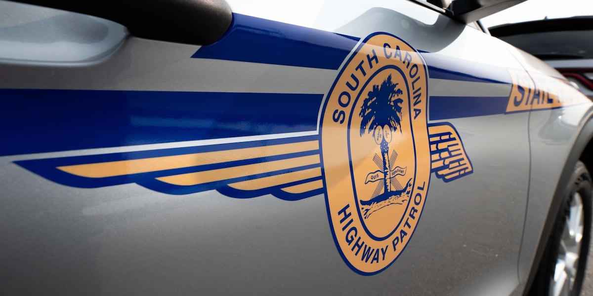 SC Highway Patrol investigating fatal Berkeley Co. single vehicle collision