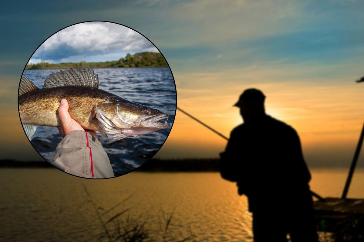 Nebraska Angler's Epic Walleye Expedition Success