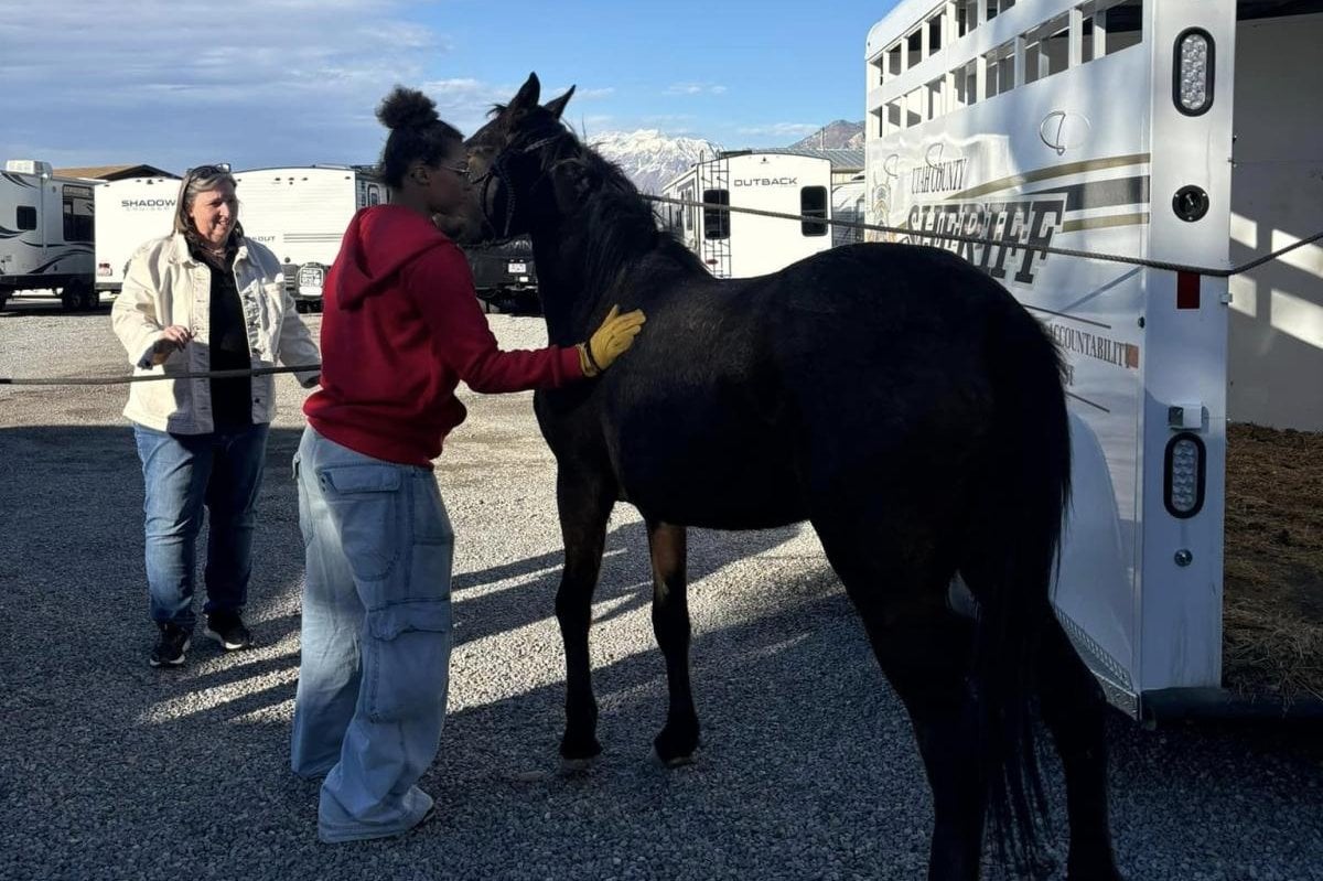 Loose horse wrangled after running on Utah highway