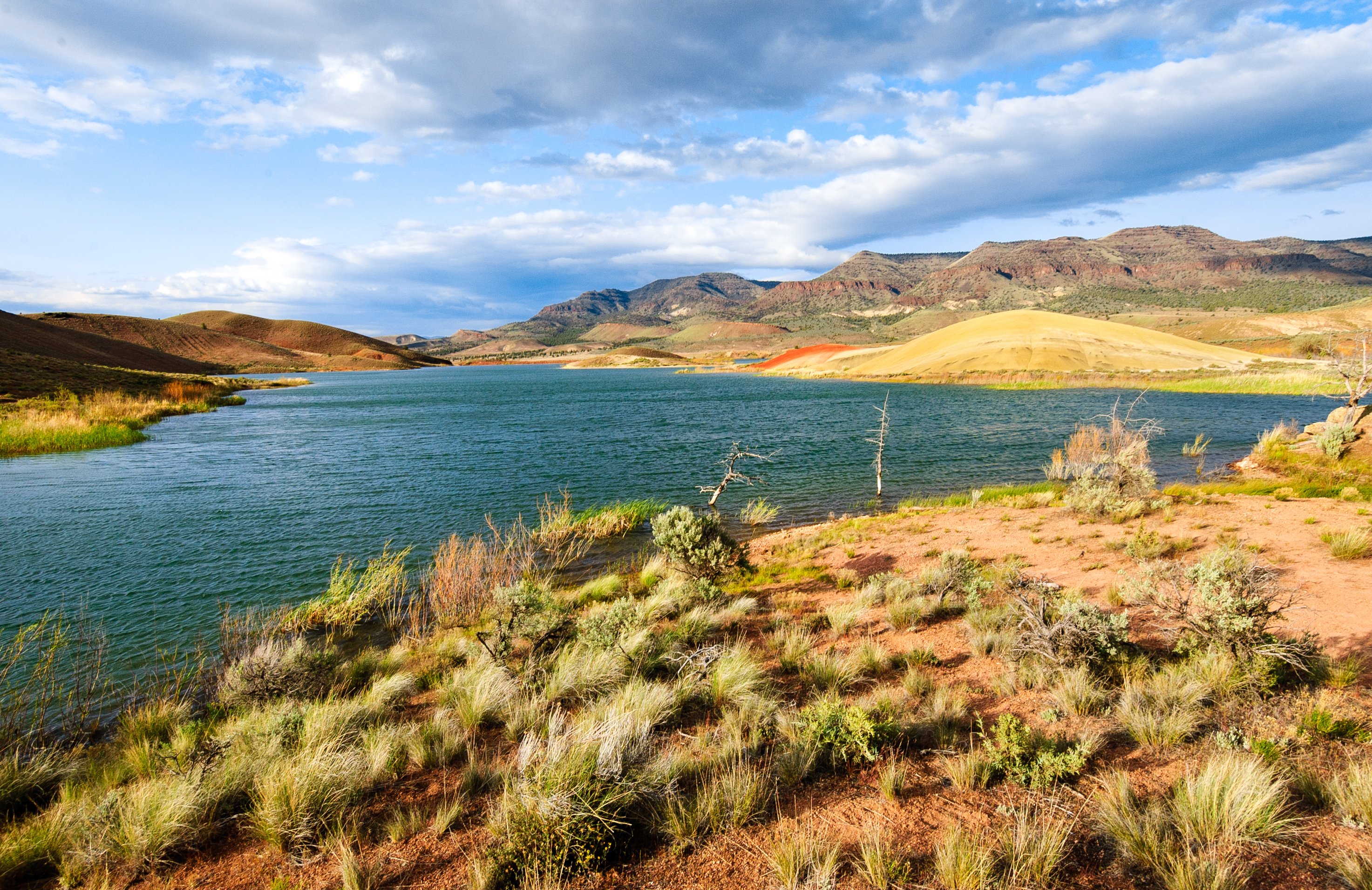 Oregon's Volcanic Rocks Could Unlock Major Carbon Storage Potential