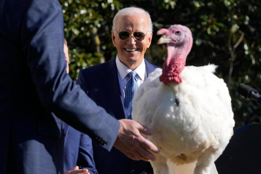 Biden pardons turkeys 'Peach' and 'Blossom'