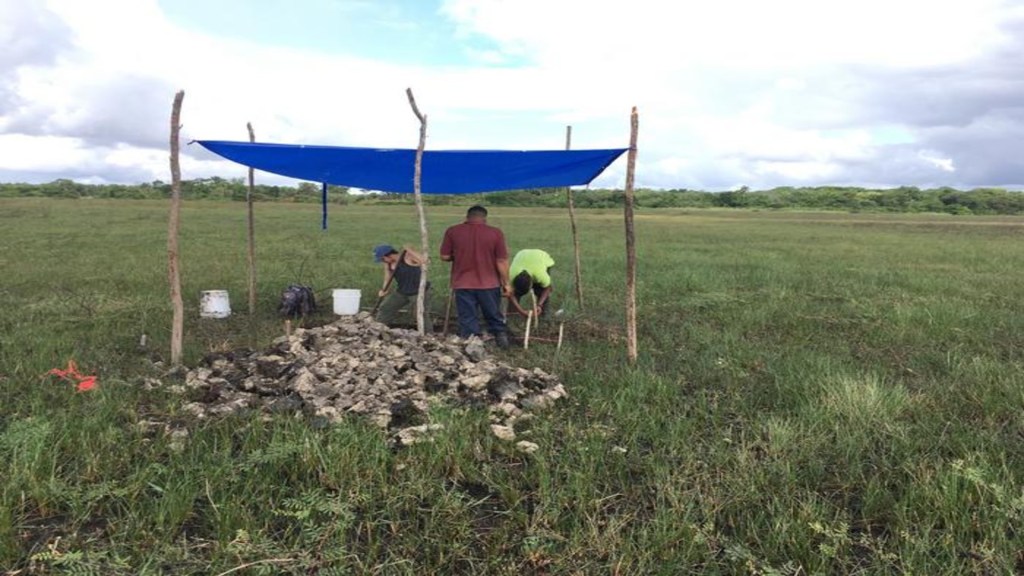 4,000-year-old pre-Mayan fish-trapping facility found, helped feed 15,000 people