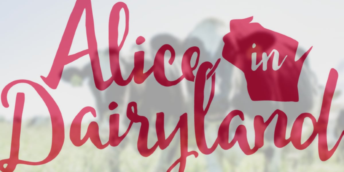 Interview: Alice in Dairyland shares "Something Special from Wisconsin"