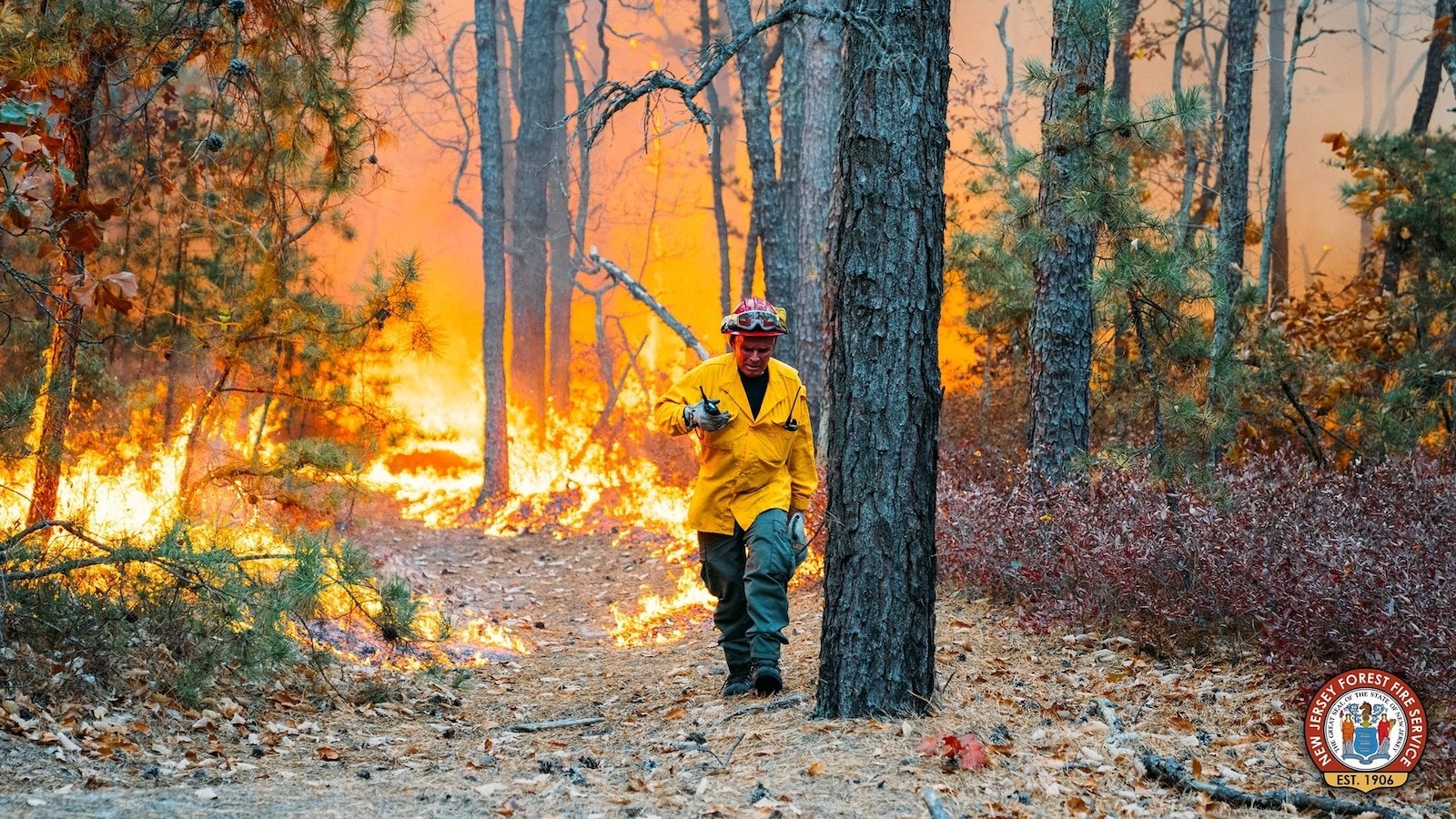 14-year-old boy arrested for allegedly starting forest fire