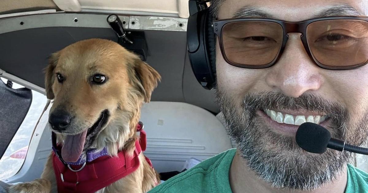 Animal rescue pilot and dog killed in plane crash in the Catskill Mountains; 2 dogs survive