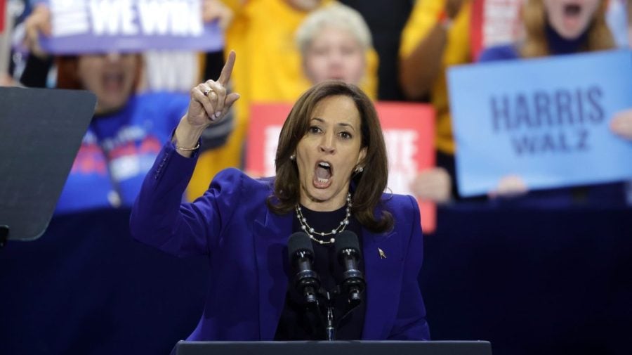 Opinion - The 2 decisions that crushed Harris’s momentum