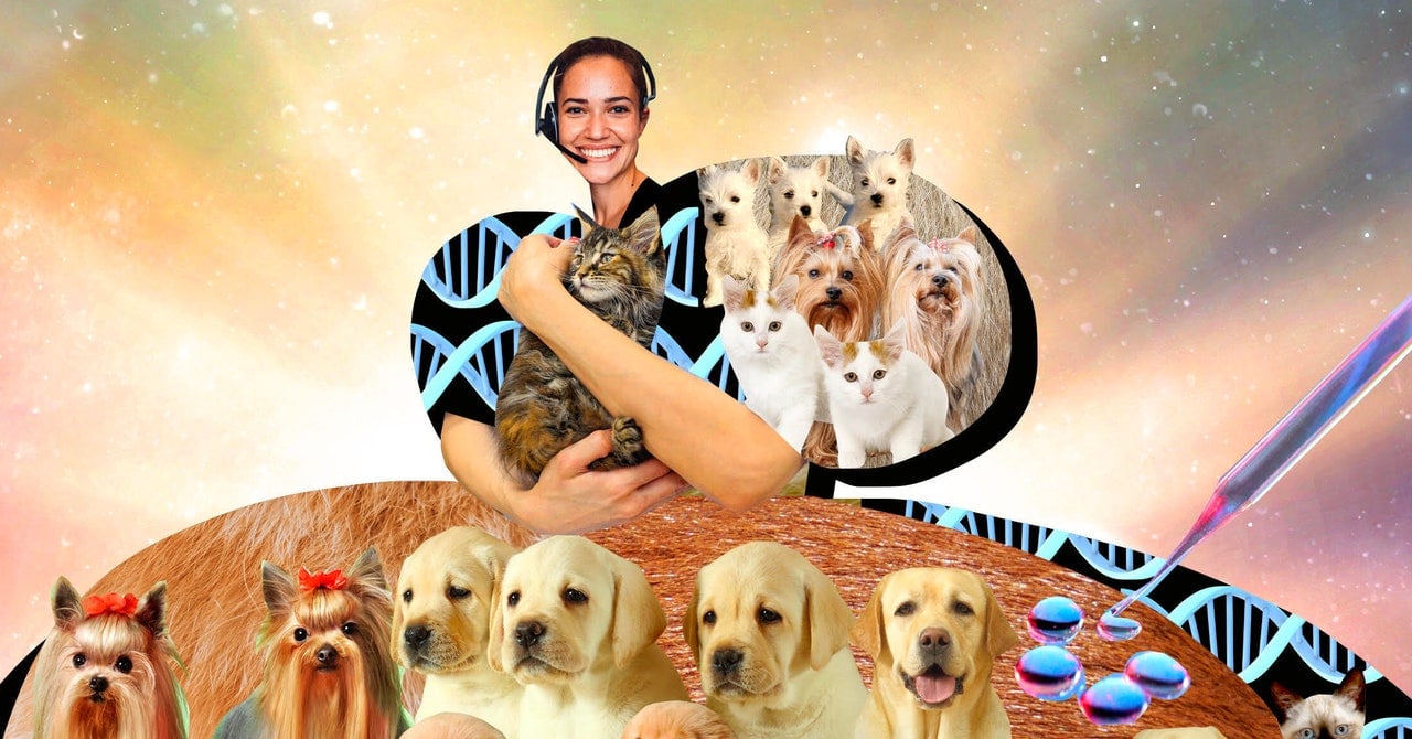 Thousands of People Are Cloning Their Dead Pets. This Is the Woman They Call First