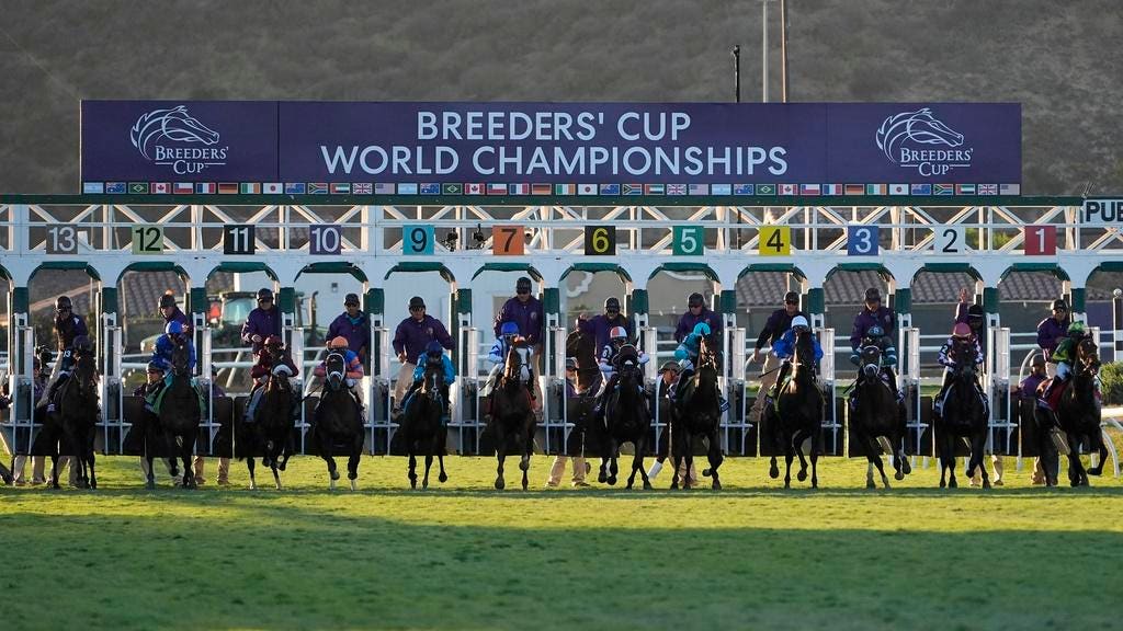 Breeders’ Cup Classic Odds And Picks For Saturday’s Biggest Races At Del Mar