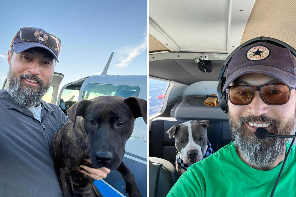 Pilot who flew dogs to be adopted dies in NY plane crash