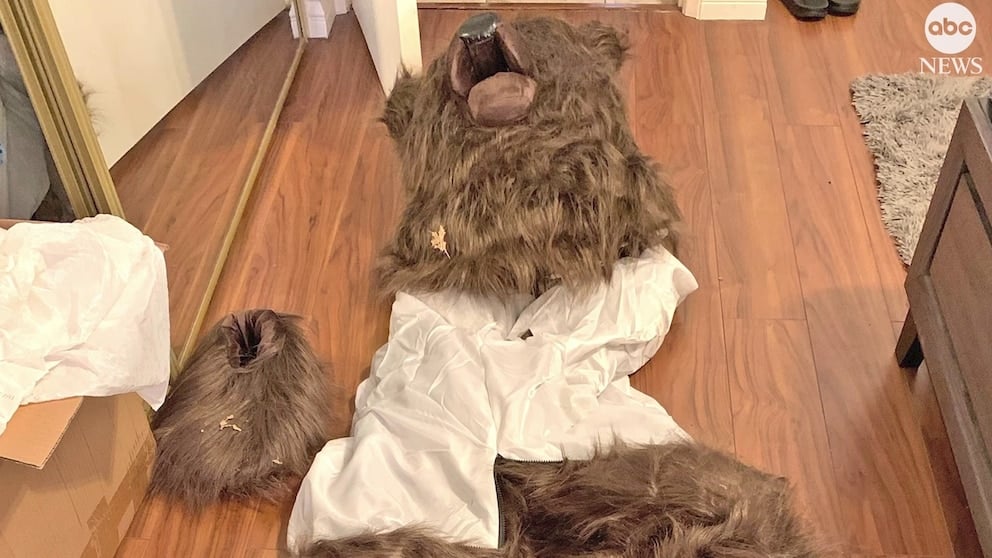 WATCH: Scammers in bear costumes attacked cars: Officials