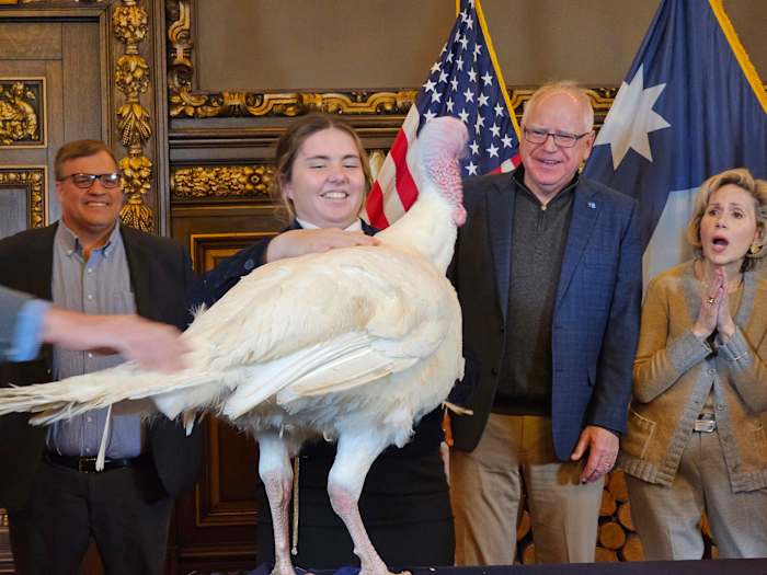 Tim Walz accepts turkey presentation as he eases back into his duties as Minnesota's governor