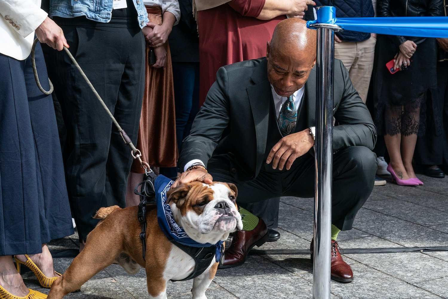 Crypto Trolls Hijacked NYC’s Dog Mayor Competition