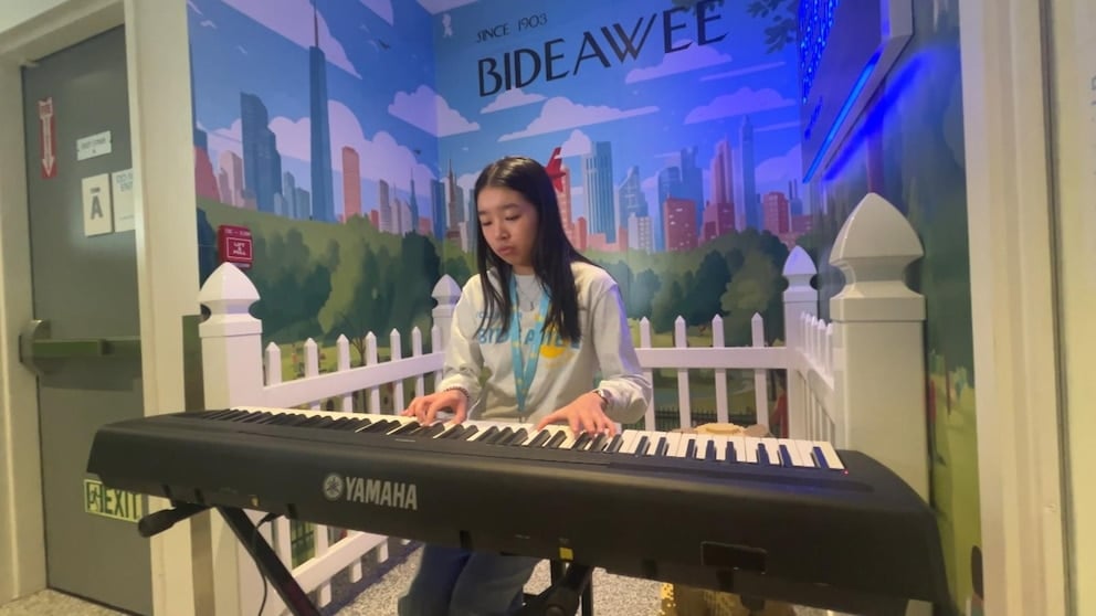 WATCH: Piano prodigy plays music for shelter pets