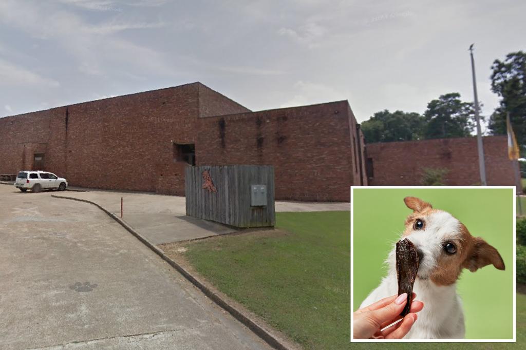 Mississippi teacher who fed students dog food she thought was beef jerky ousted from job