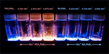 Interstitial and substitutional doping of Mn2+ in 2D PEA2PbBr4 and BA2PbBr4 perovskites