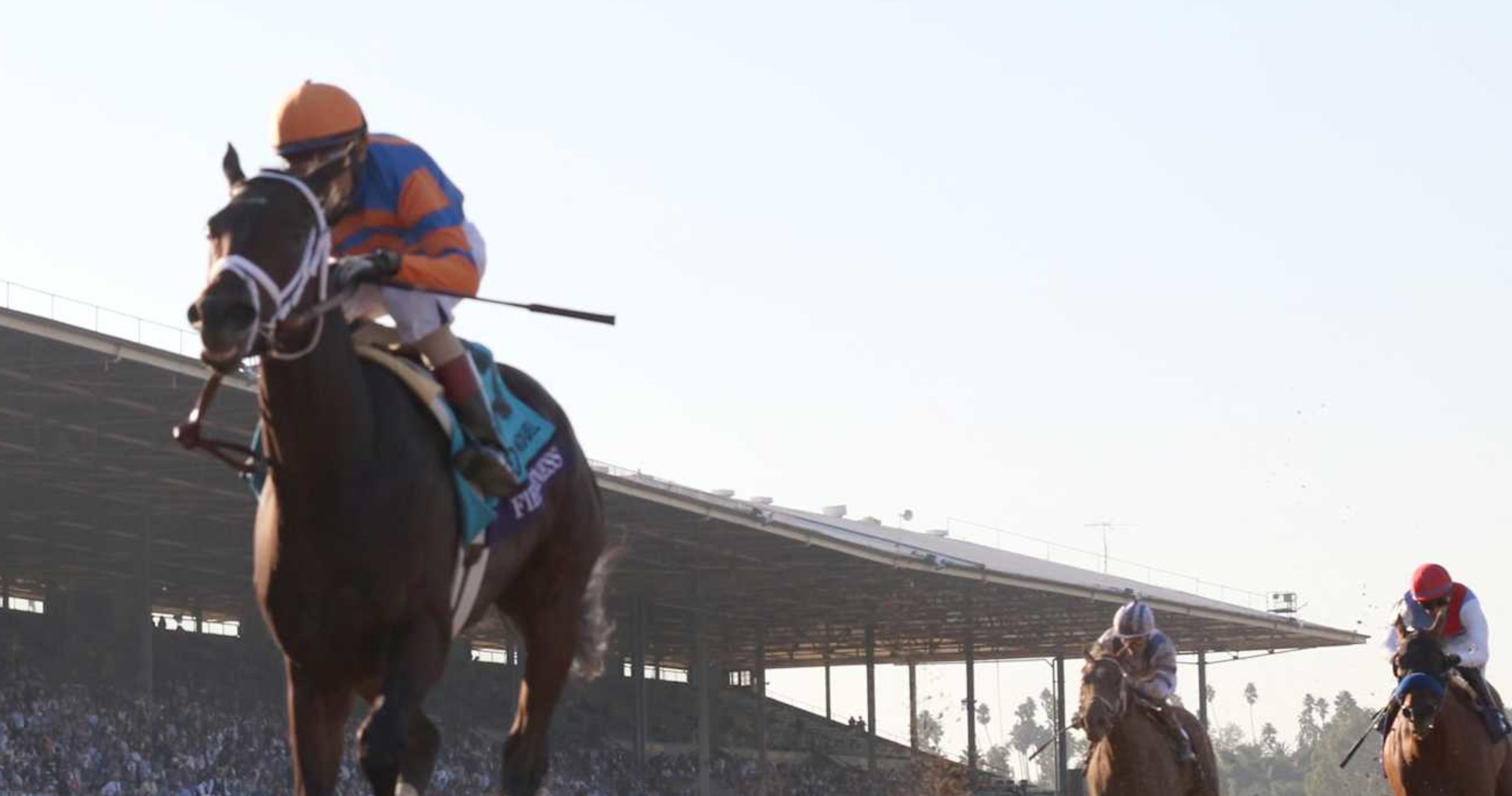 Breeders' Cup 2024: Odds and Predictions for All Races