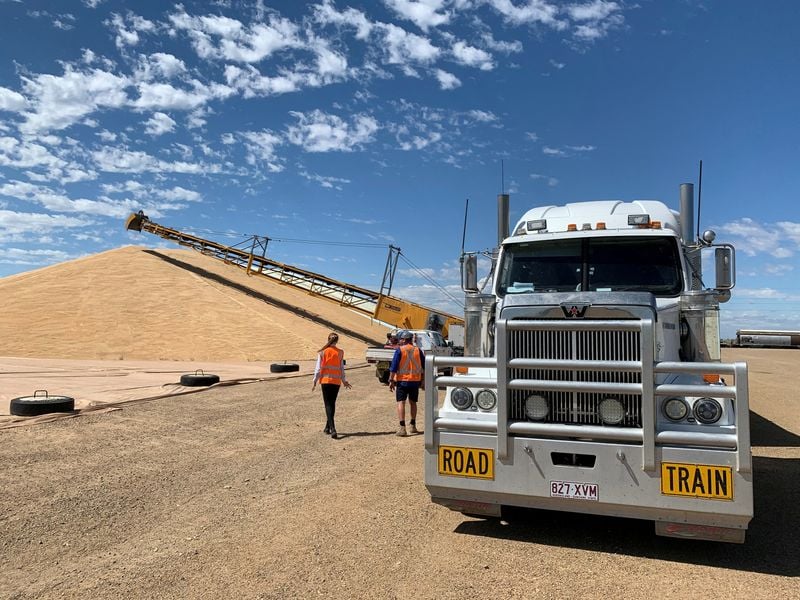 Flour millers face supply crunch as wheat farmers tighten grip on stocks