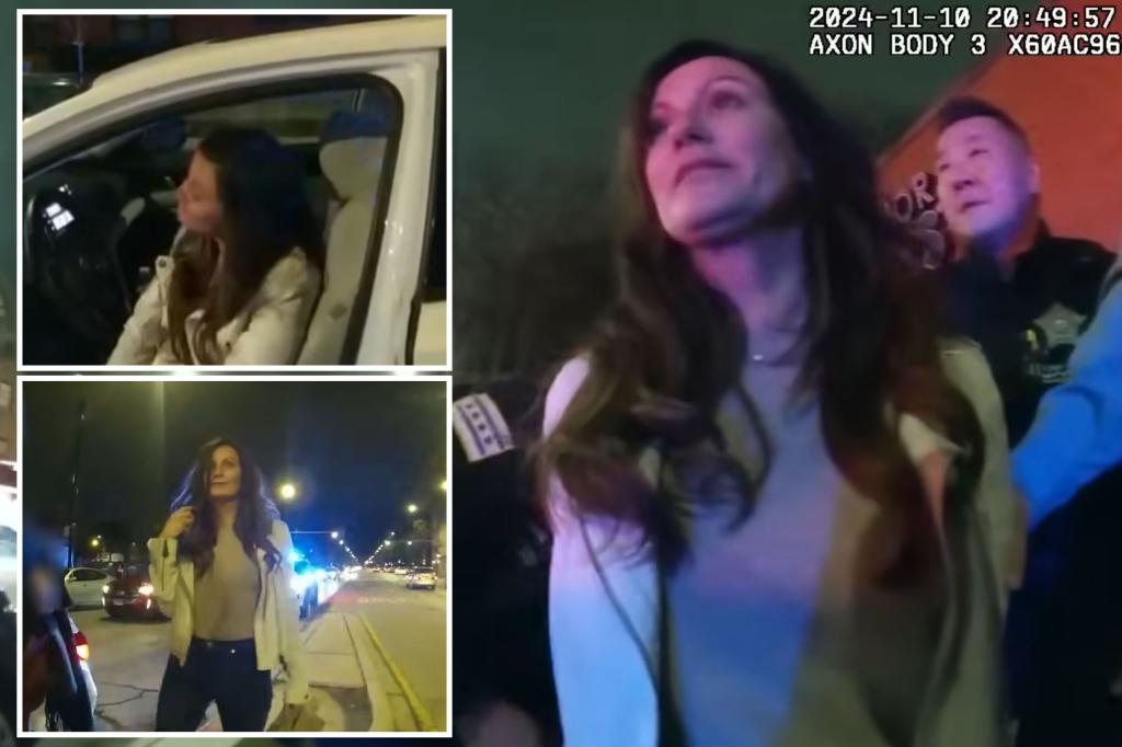 Video shows Ill. Dem rolling eyes during drunk driving arrest