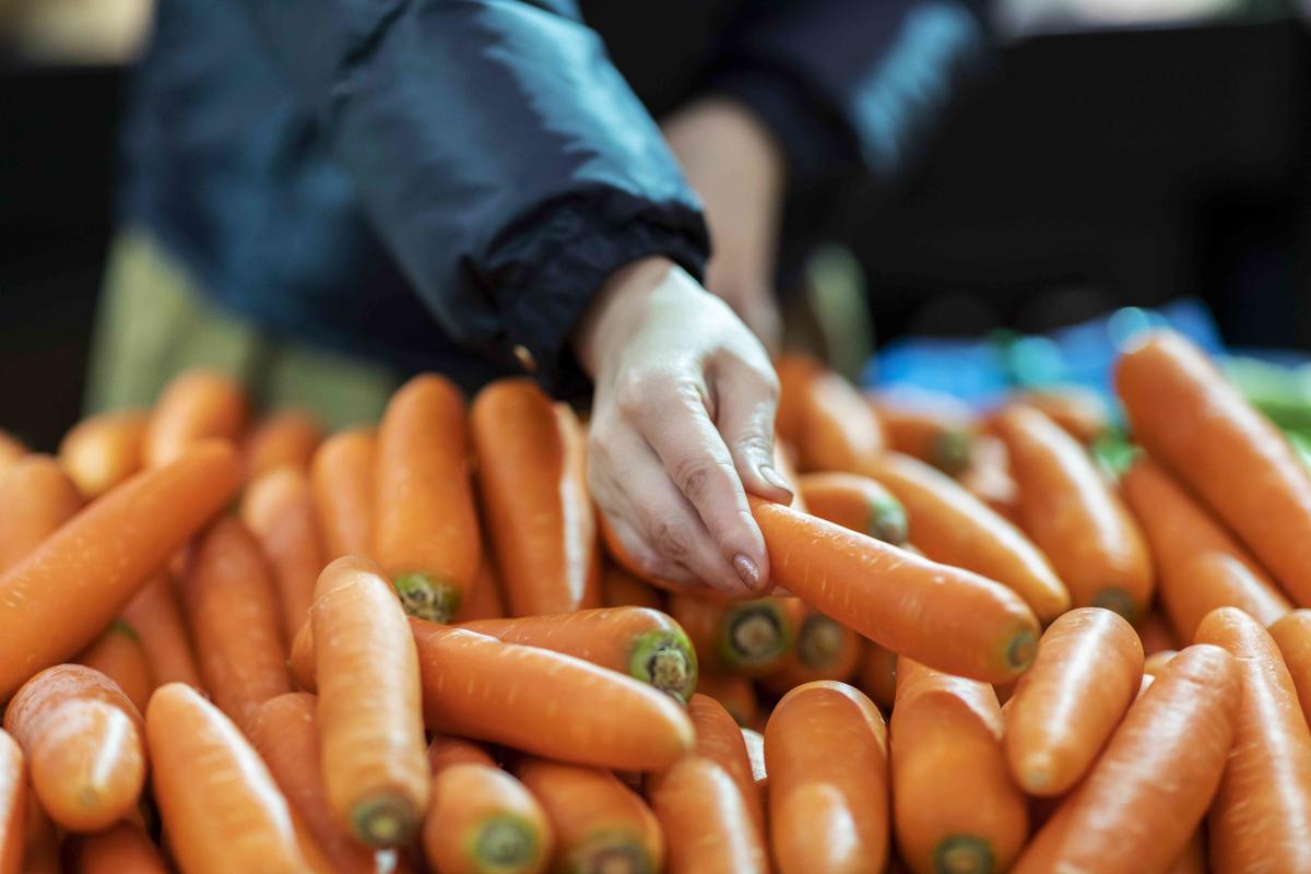 E. Coli Outbreak Across At Least 18 States Causes Organic Carrot Recall