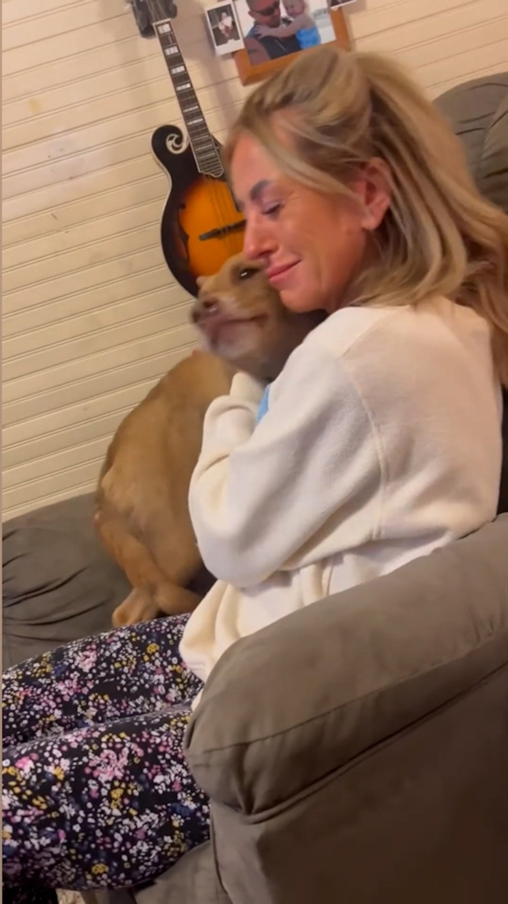 WATCH: Dog reunites with owner after 5 months in the wild