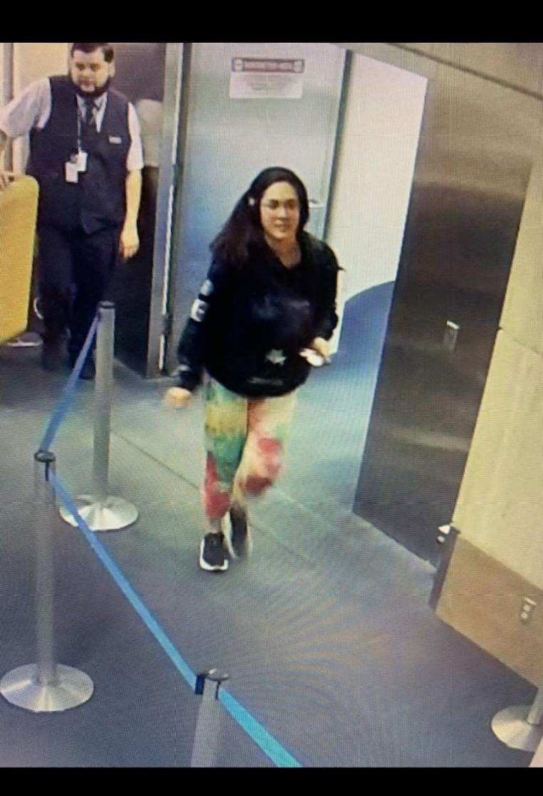 Missing woman Hannah Kobayashi intentionally skipped flight, LAPD chief says