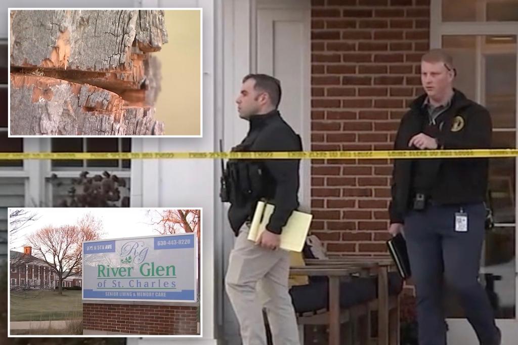 Chainsaw-wielding man fatally shot by cops at senior home