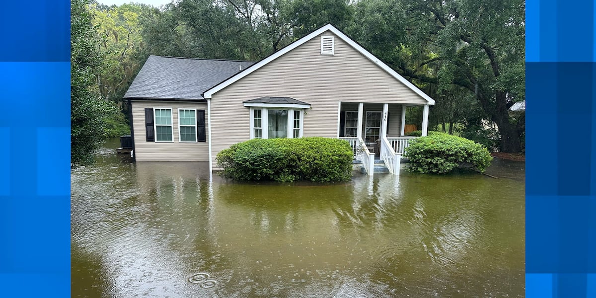 Charleston County officials request state funding for natural disaster victims