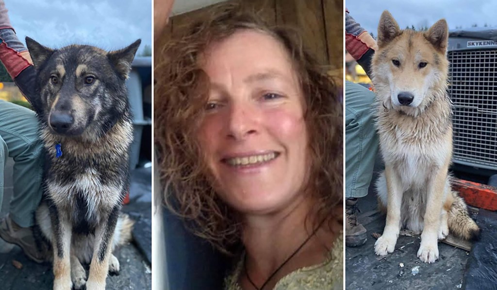 Slain hiker's dogs found dead dead in Oregon: police