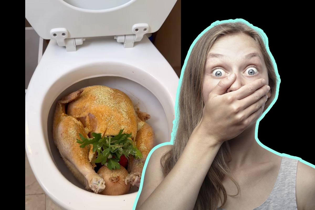 Minnesota Now Famous Thanks To Viral Turkey in Toilet Video