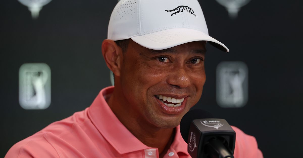 Tiger Woods wants Ryder Cup stars to get paid but with a catch