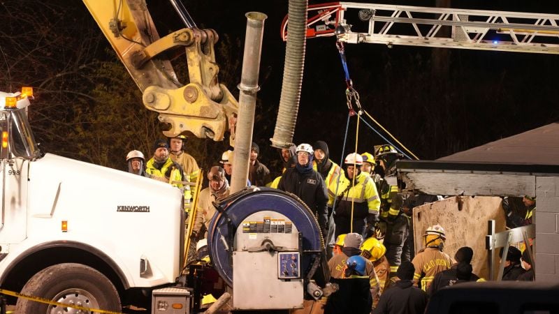 Missing Pennsylvania grandmother likely fell into sinkhole while searching for her cat, police say