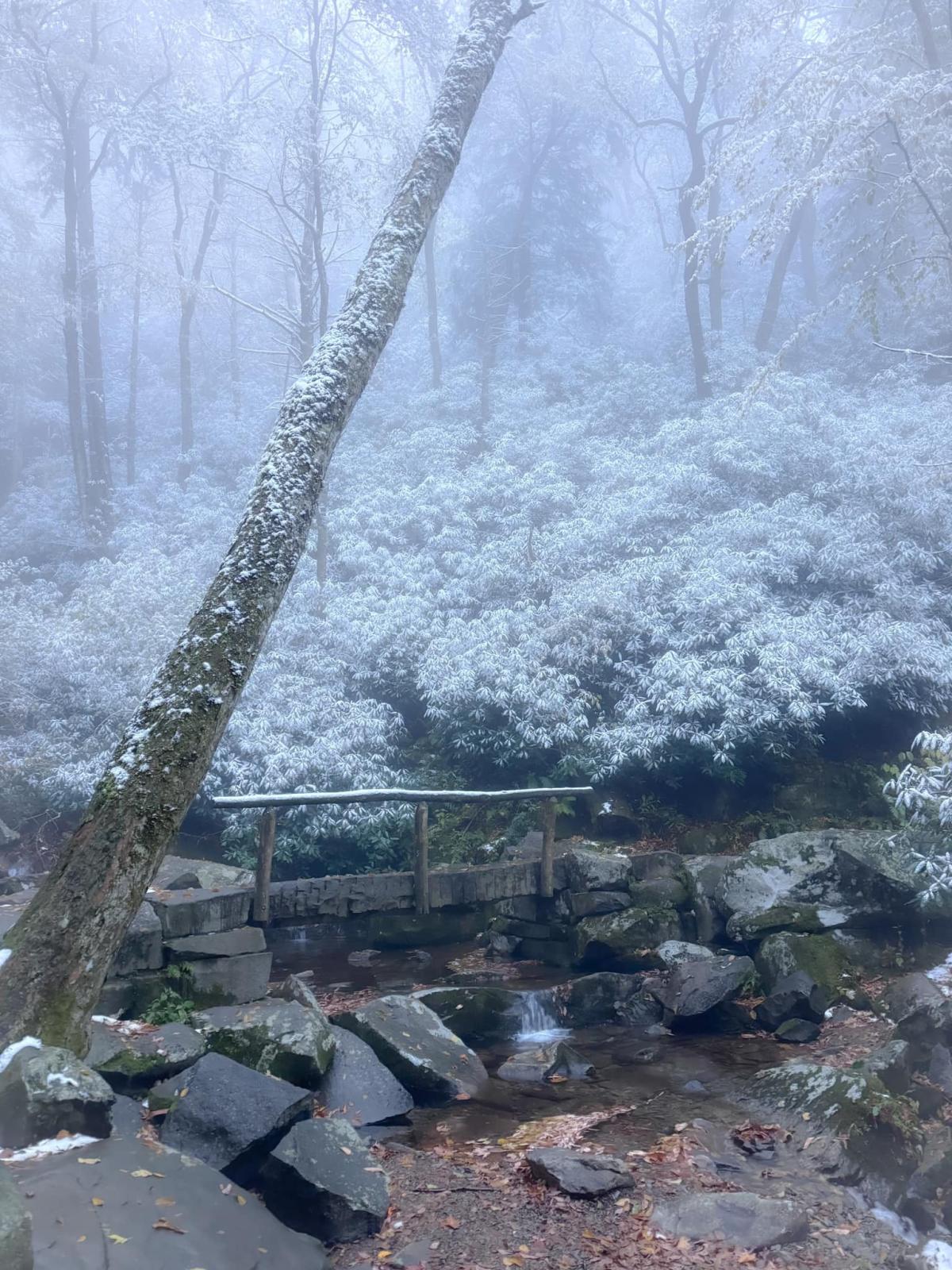 Winter-like temperatures are coming to East Tennessee. Will it snow? What to expect