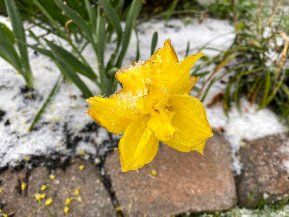 First snow in Staunton? Get ready for temperatures to plummet later this week