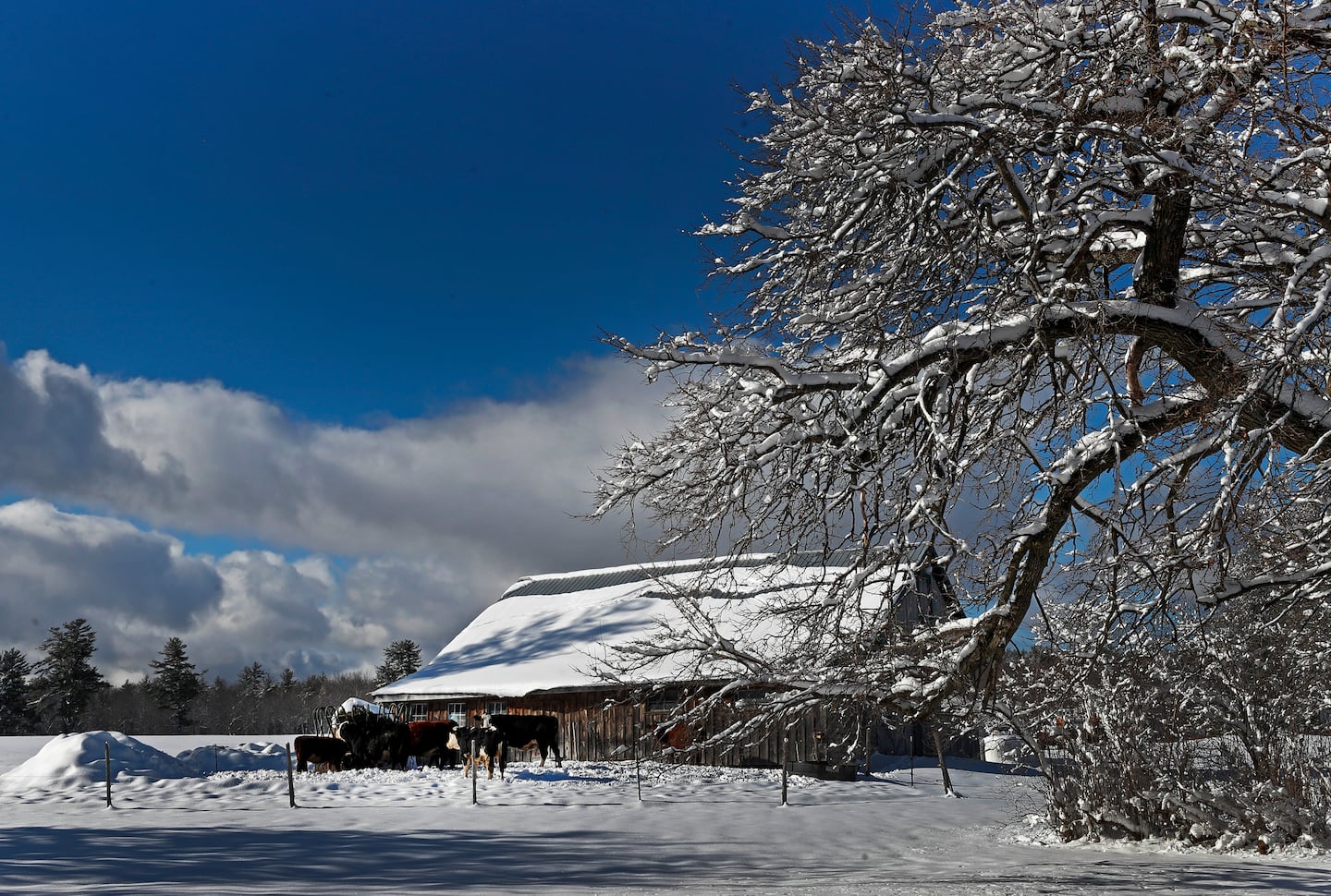 Alberta Clipper storm to hit Vermont, New Hampshire with lots of snow