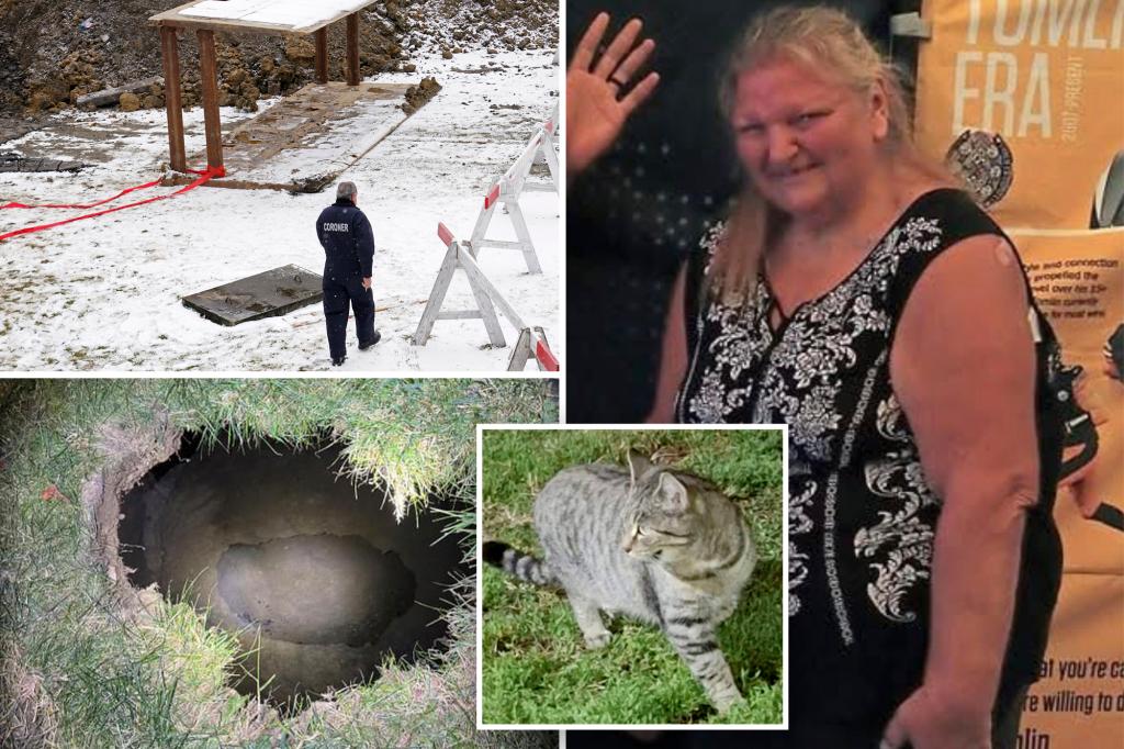 Searchers find body of missing Pennsylvania woman who fell into sinkhole