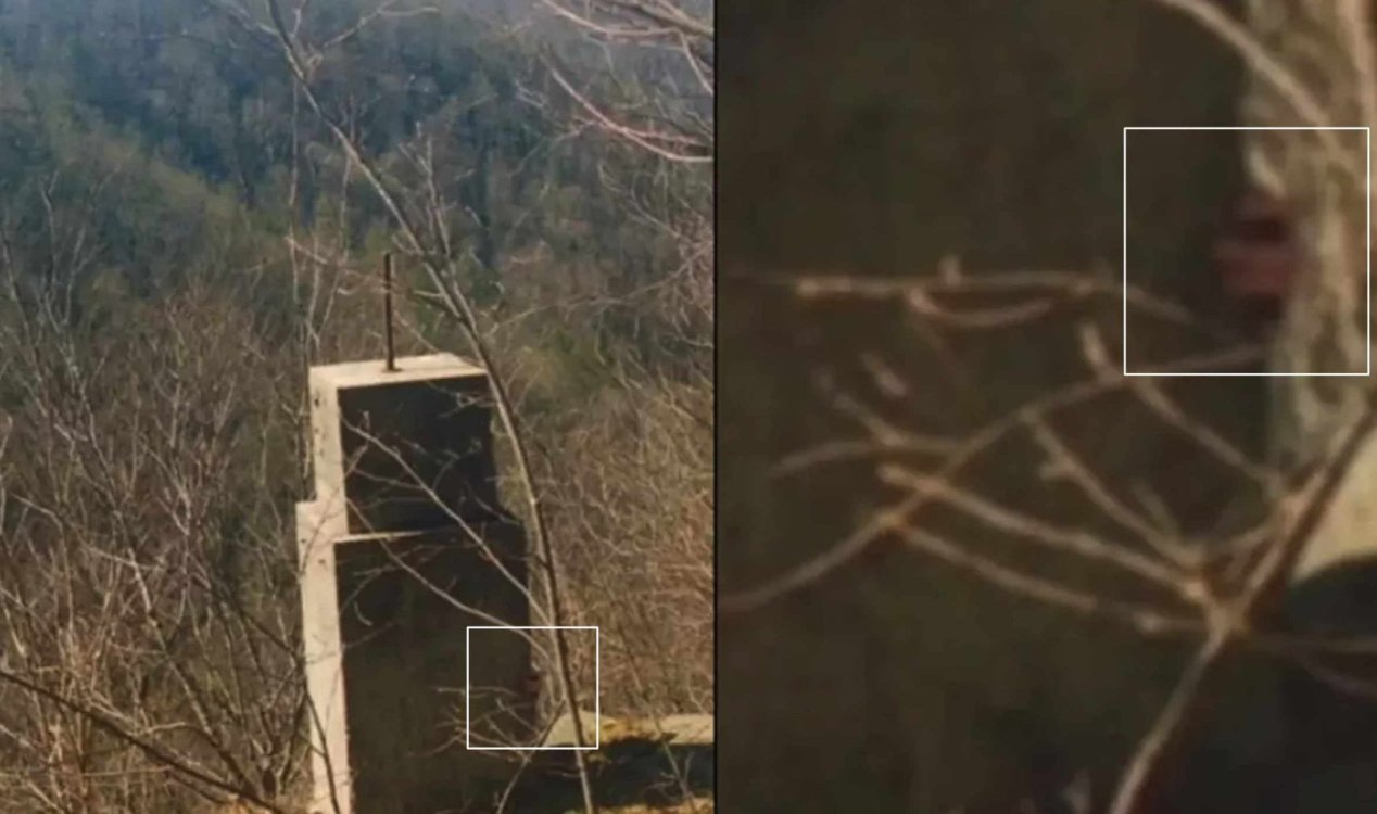 Photograph shows weird 'hand' in area known for Bigfoot sightings