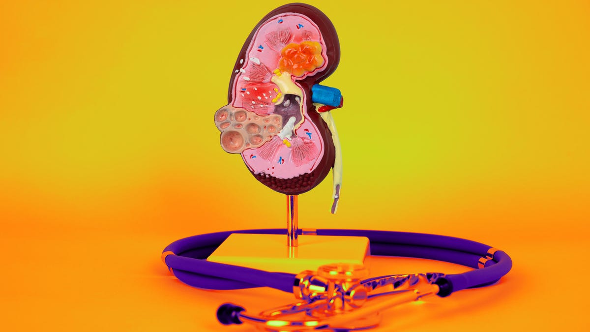 13 Superfoods to Supercharge Your Kidneys