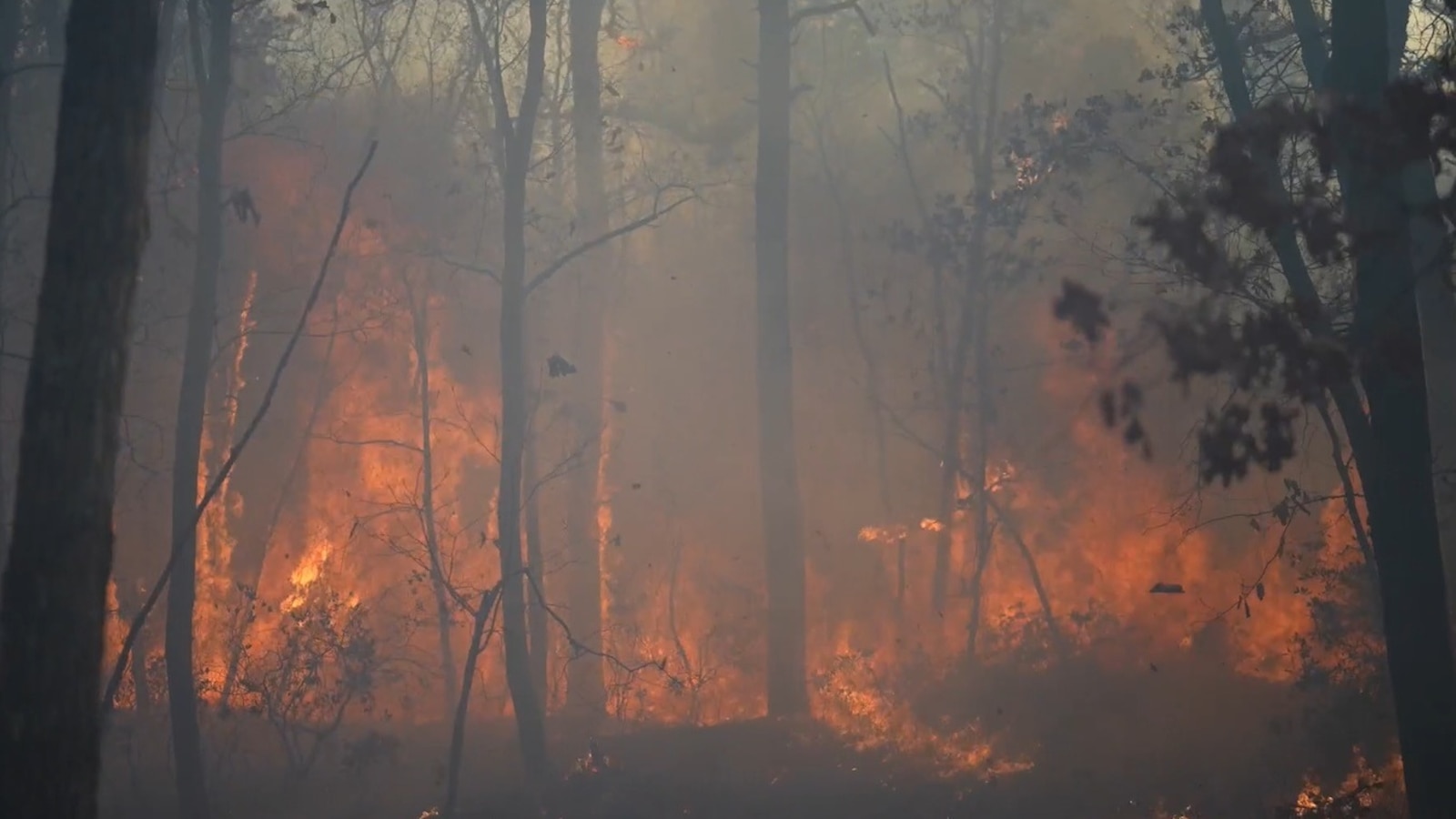 Drone Footage Captures Jennings Creek Fire in New Jersey