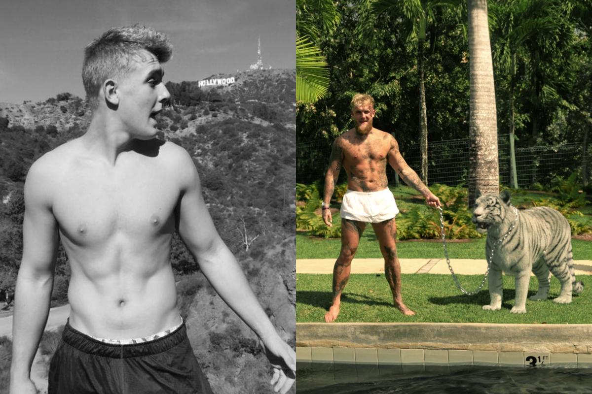 Jake Paul, de youtuber millonario a boxeador