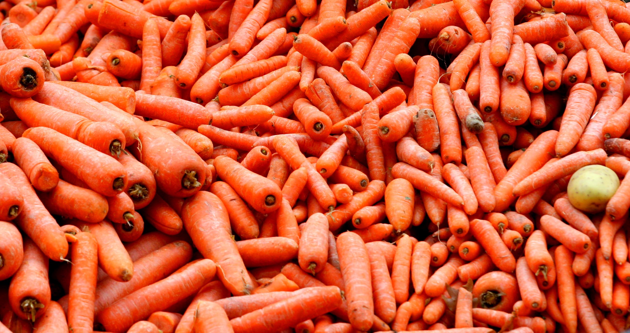 Carrot Recall As Warning Issued Over 19 Brands Sold in Major Stores