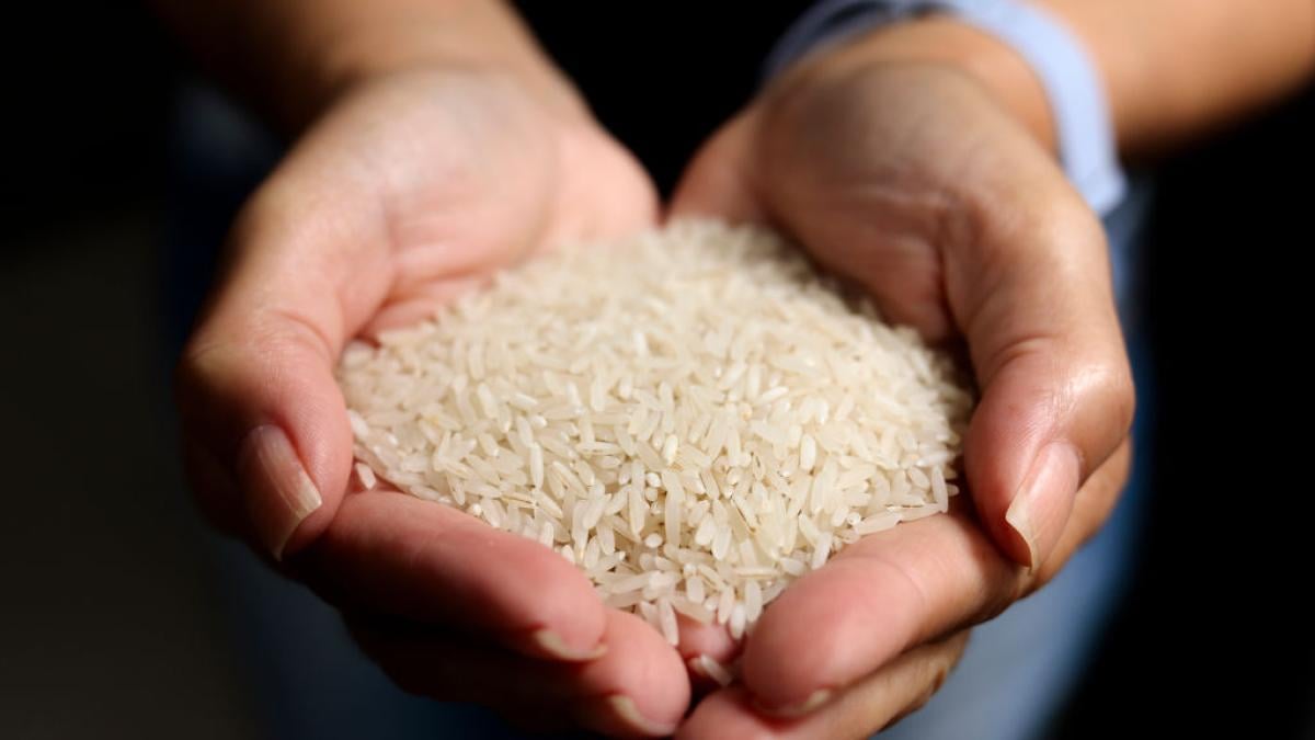 Los inspectores detienen 25.000 kilos de arroz por su aspecto y olor y se topan con un descubrimiento espantoso