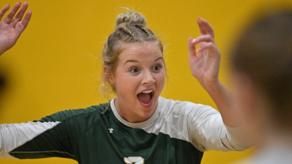 Ava Wysocki is Lake County volleyball player of the year