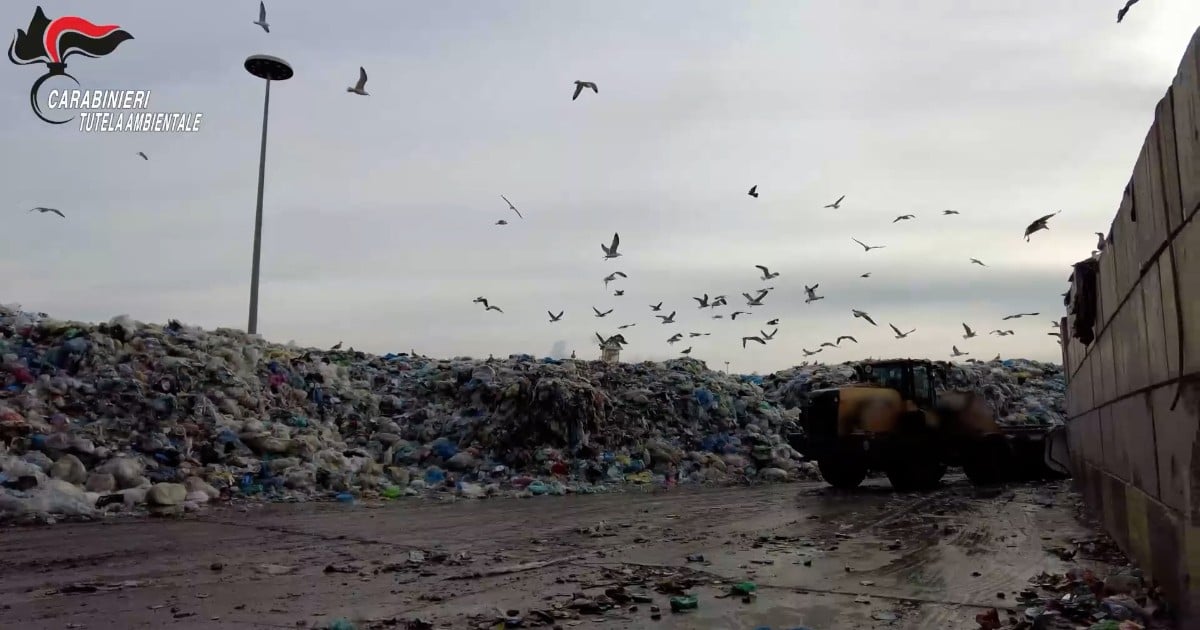 Gestione illecita di rifiuti e scarico abusivo di reflui industriali: sequestrato un impianto a Caivano – Video