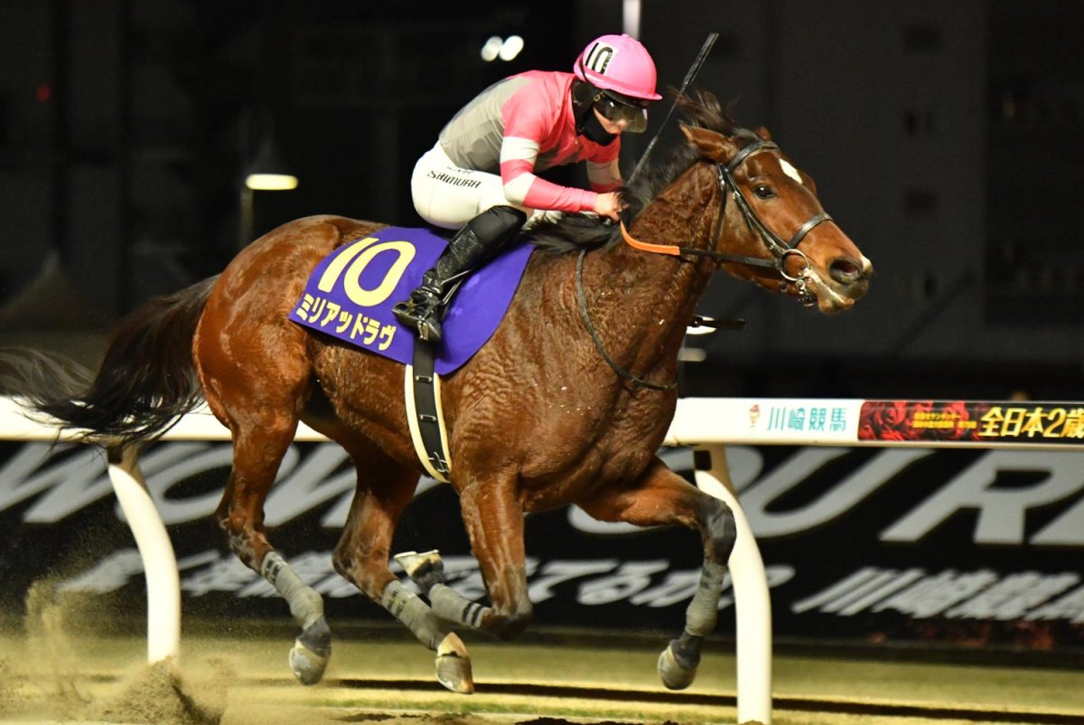 Hoses racing surprise in Japan on 'Road to Kentucky Derby'