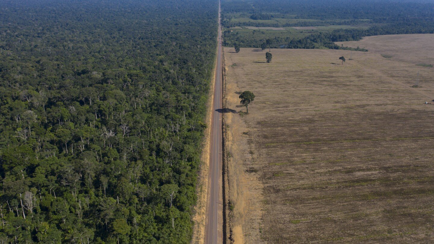 Environmental groups condemn new laws threatening soybean restrictions in Brazil's Amazon