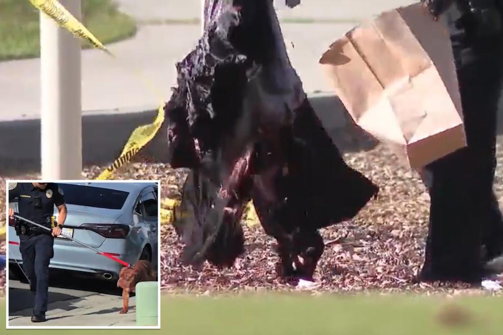 California man mauled to death by his own 3 dogs in front of horrified onlookers at playground